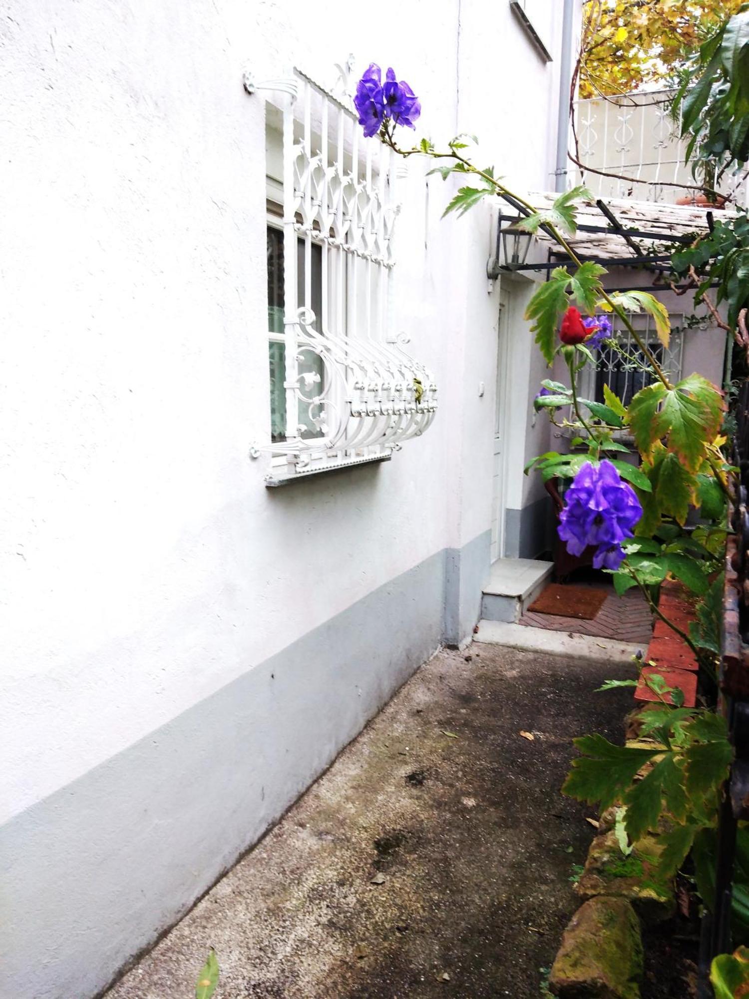 Appertment Im Garten Apartment Worms Exterior photo